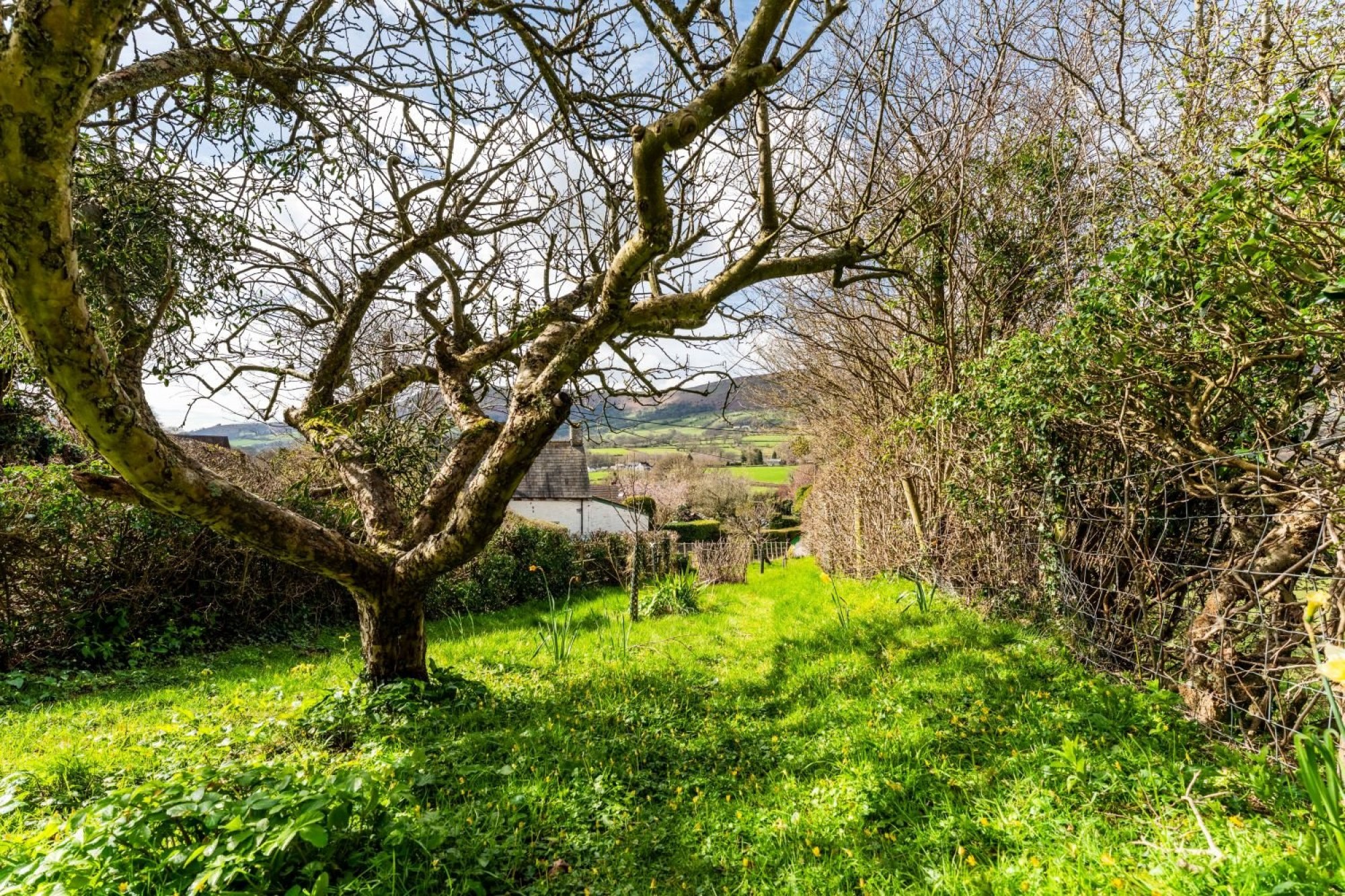 Images for Longtown, Hereford