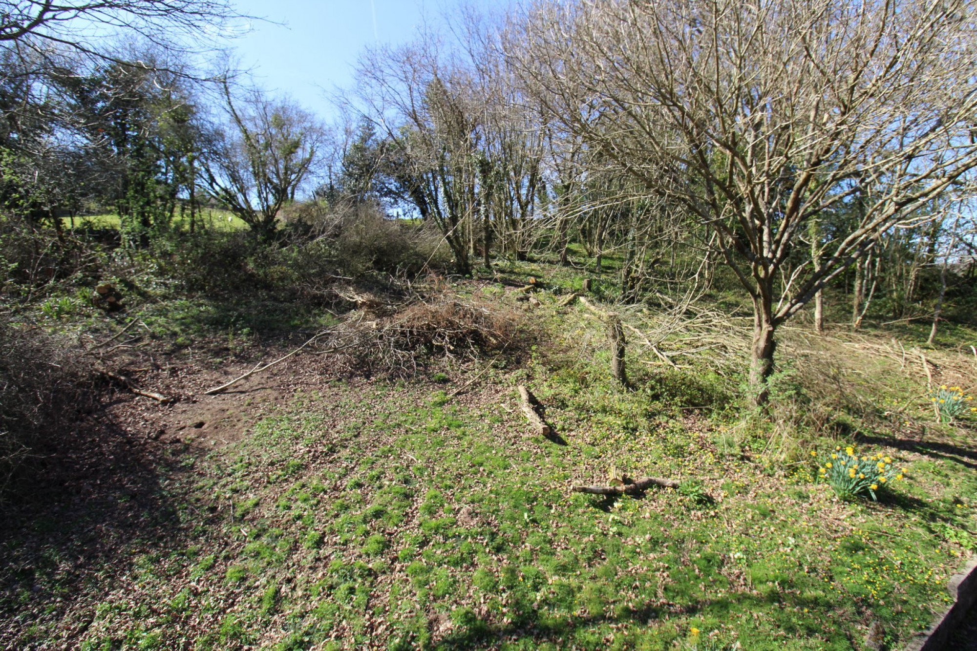 Images for Bwlch, Brecon, Powys