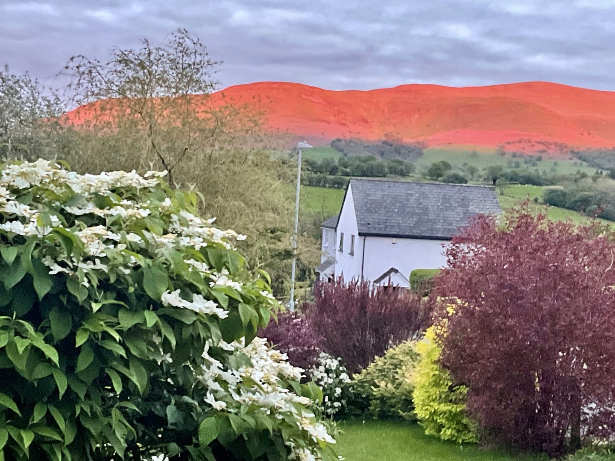 Images for Libanus, Brecon, Powys