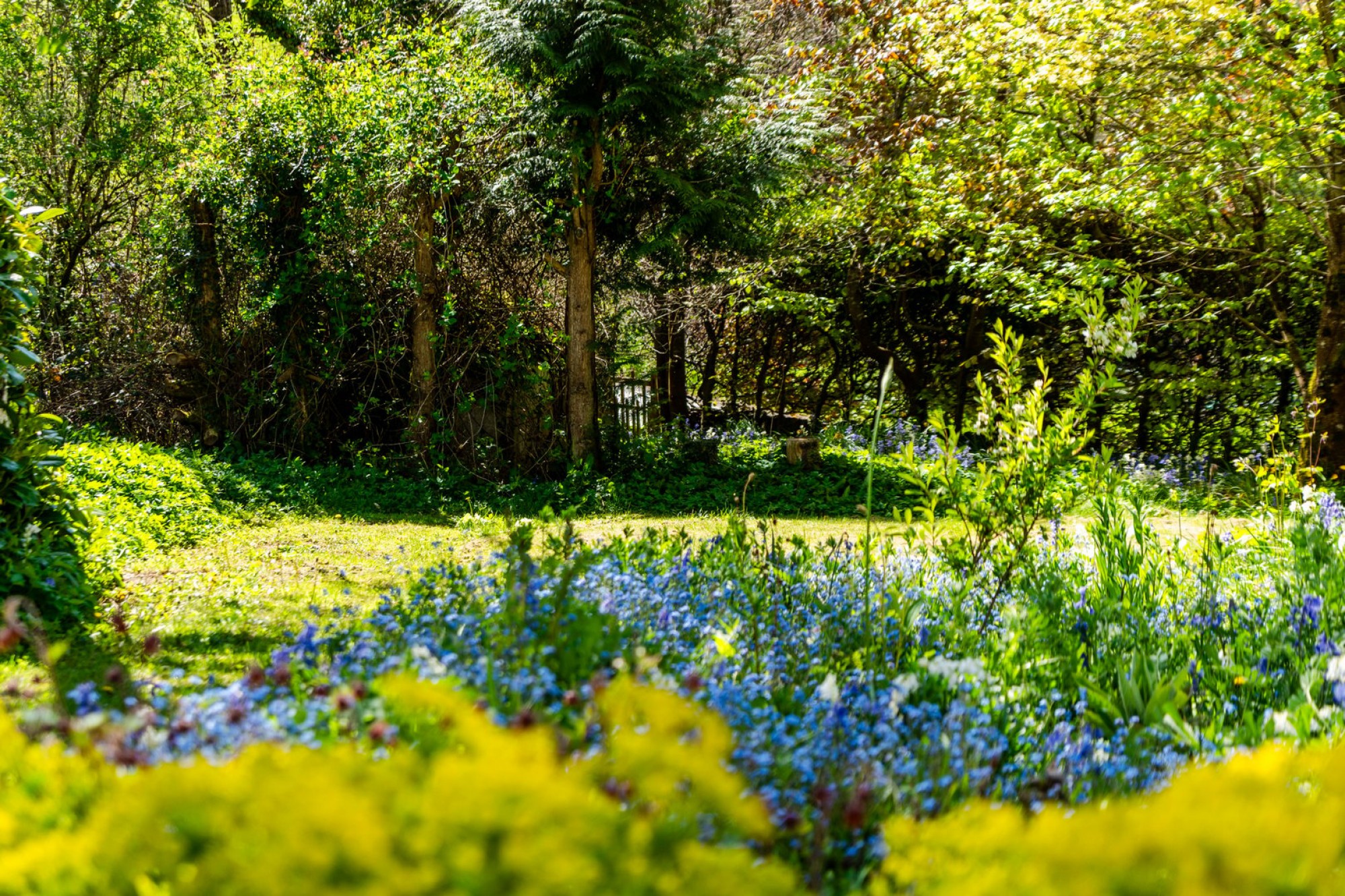 Images for Rhulen, Builth Wells, Powys