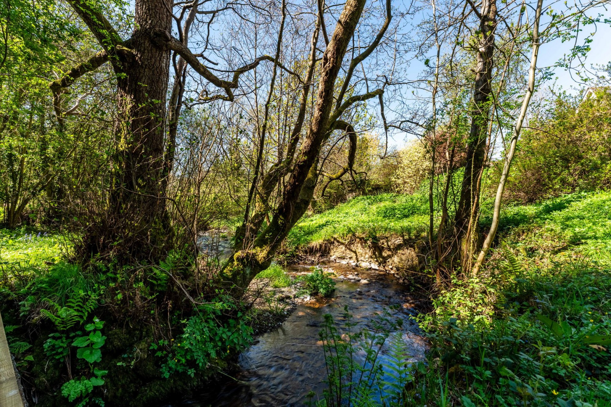 Images for Rhulen, Builth Wells, Powys
