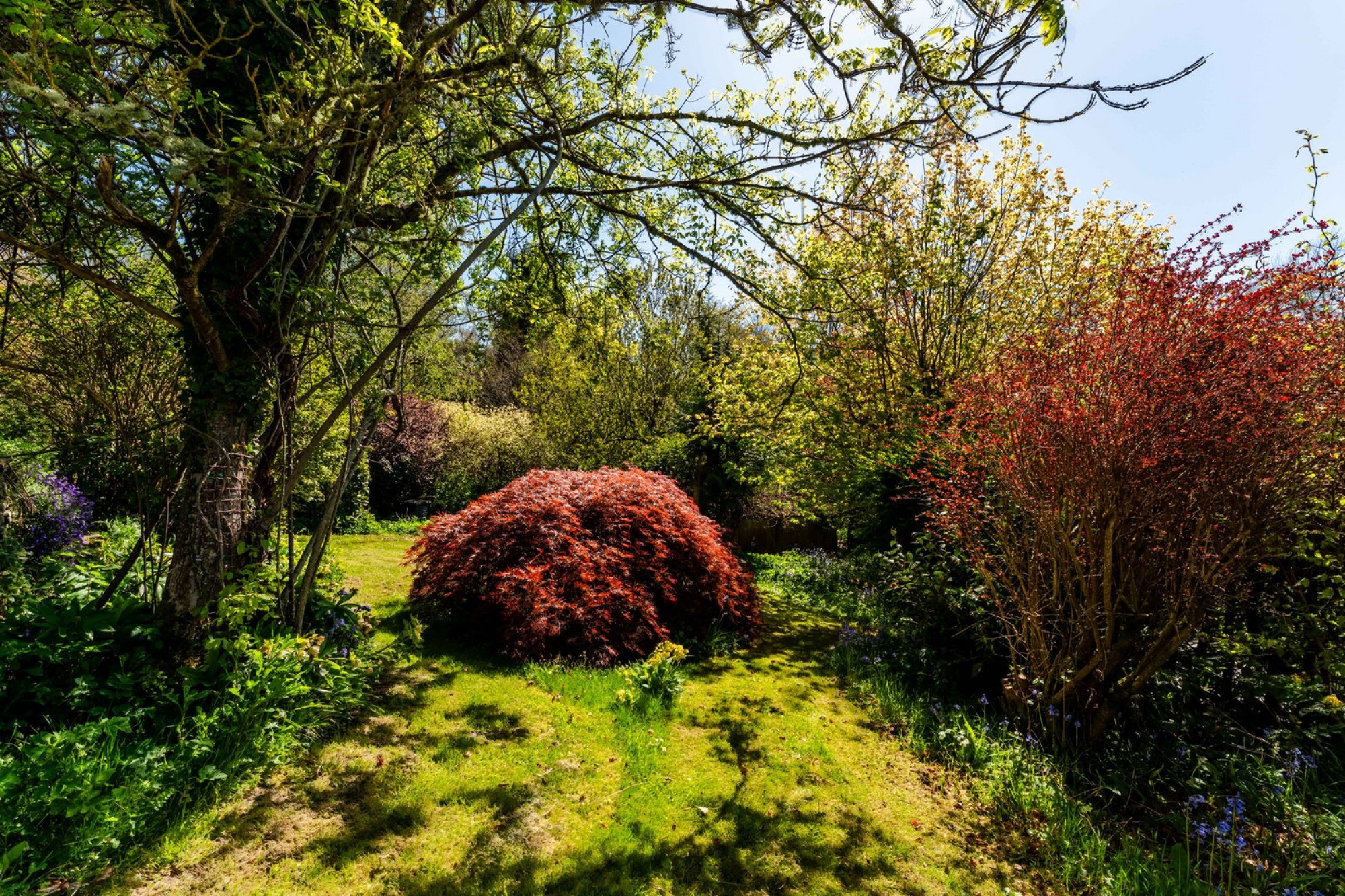 Images for Rhulen, Builth Wells, Powys