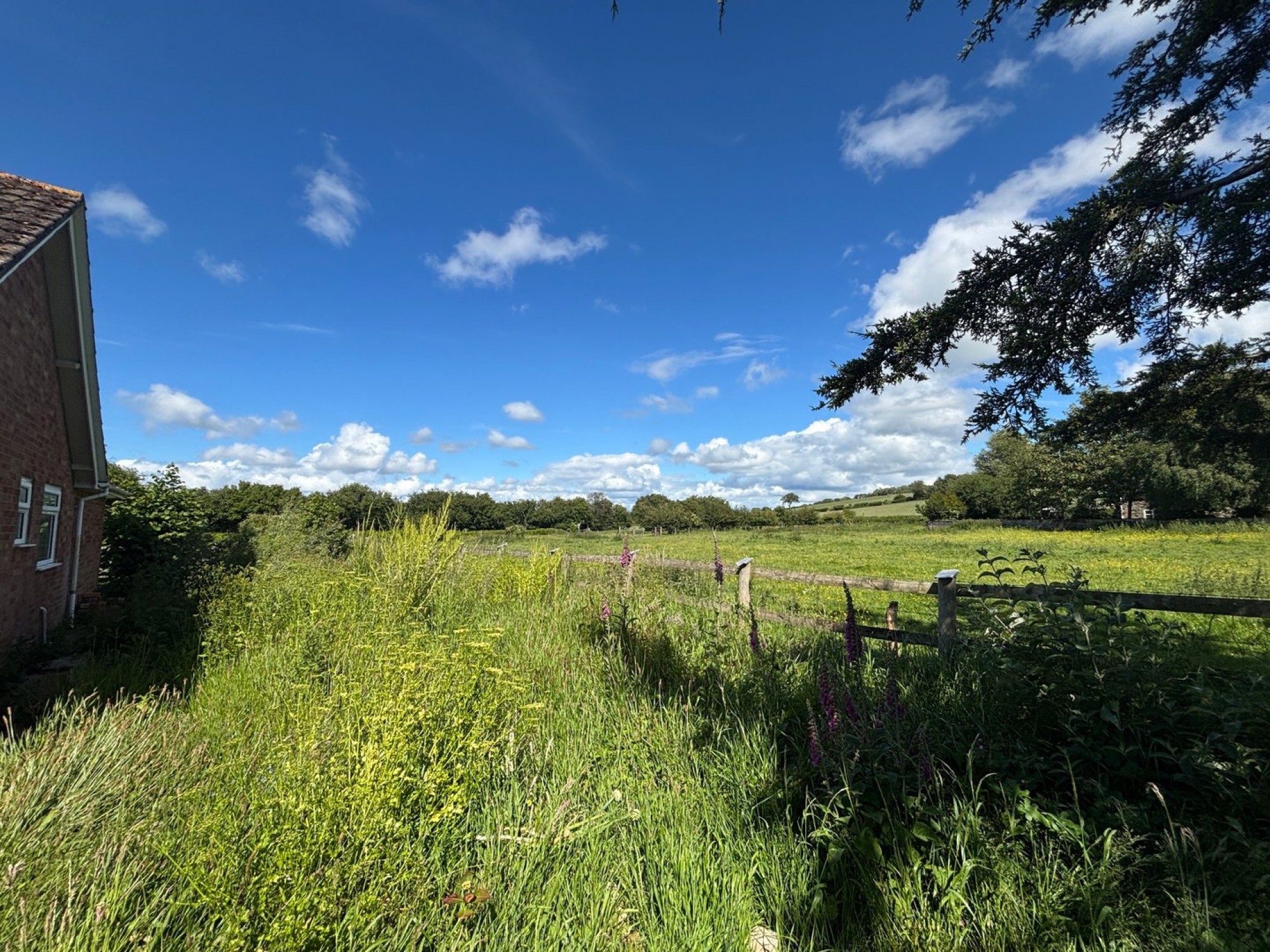 Images for Clifford, Hereford