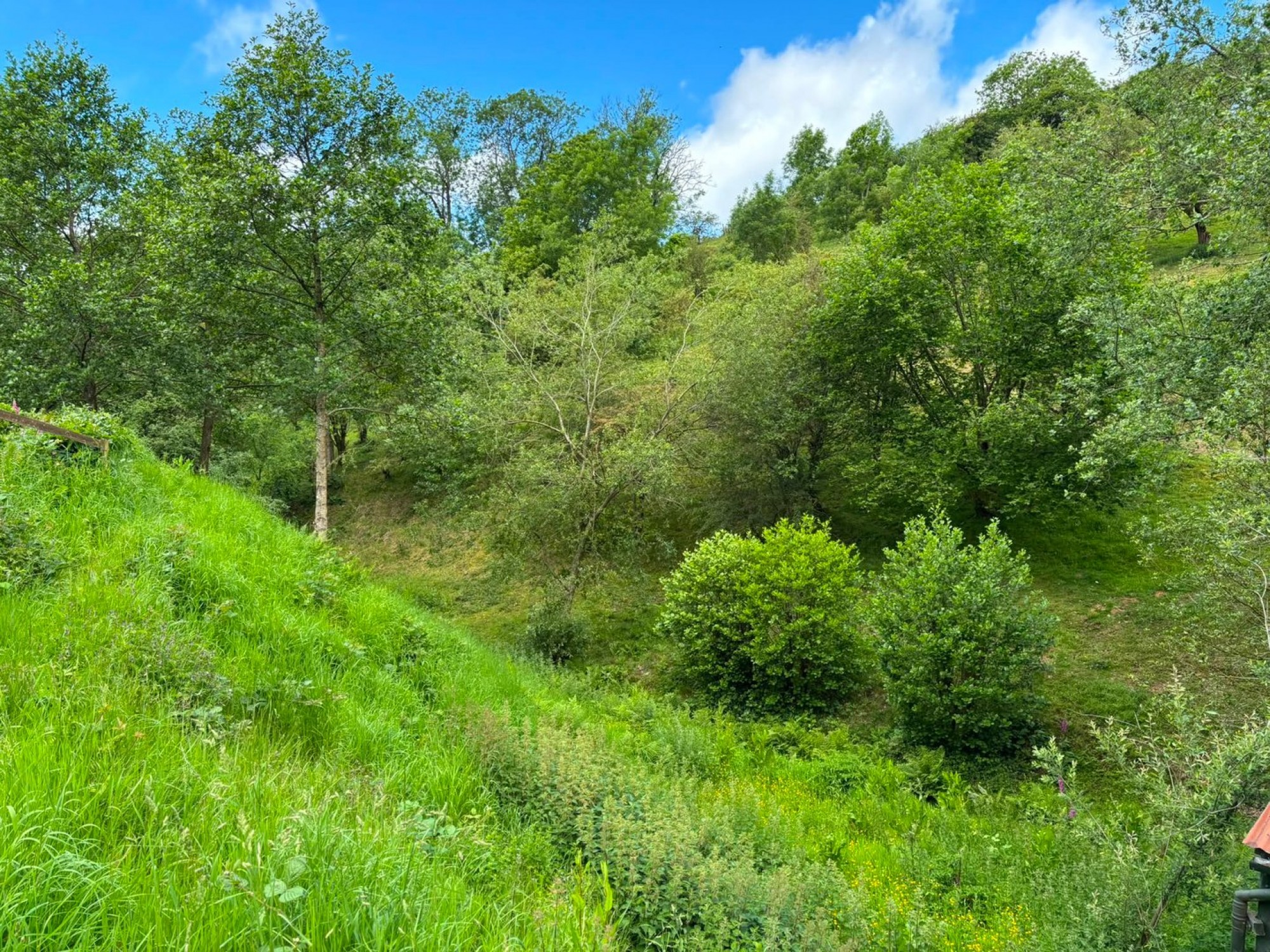 Images for Old Churchstoke, Montgomery, Powys