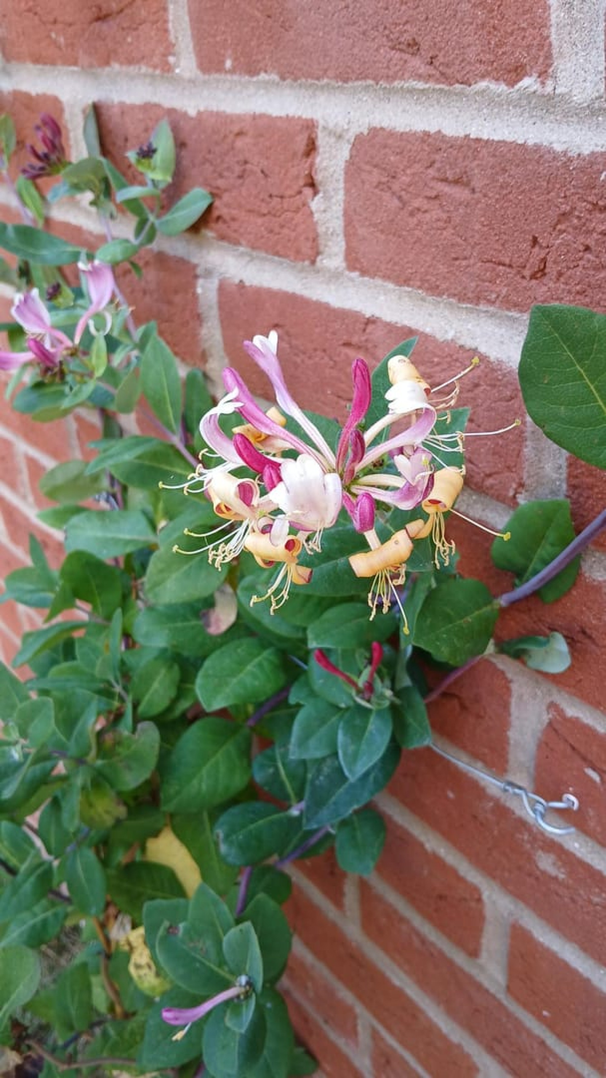 Images for Horseman Close, Ross-on-Wye, Herefordshire